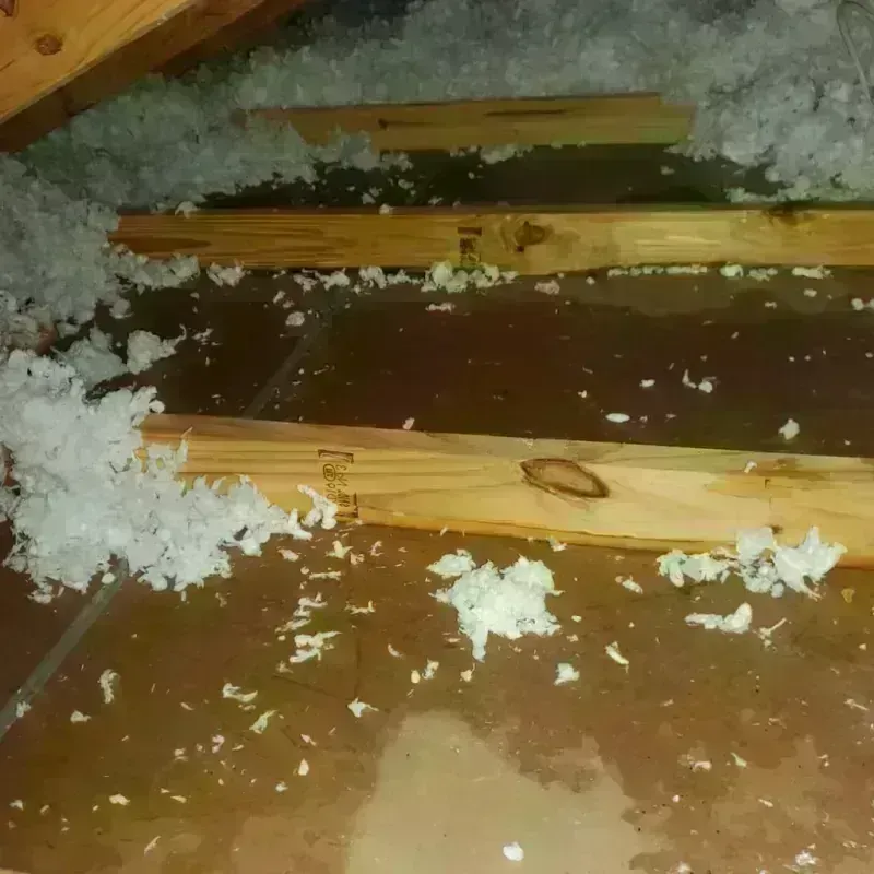 Attic Water Damage in Welch, WV